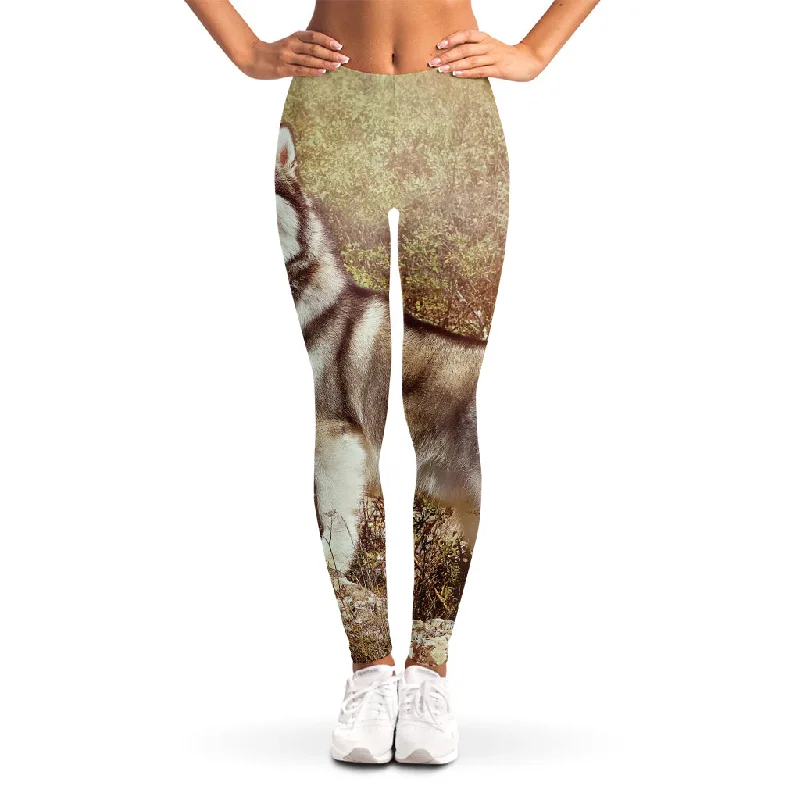 Vintage Alaskan Malamute Print Women's Leggings Trendy High-Compression Leggings